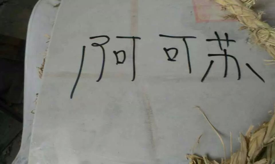 一品鮮食品機械一天發六家客戶